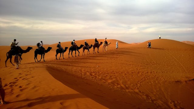 Camel Trekking in the Sahara