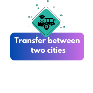 Premium Airport Transfer (8)
